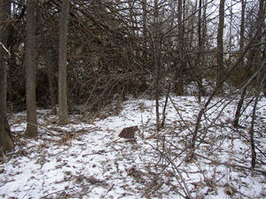 Vanschoiack Cemetery East