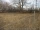 Bashor Cemetery, Andrew County, Missouri