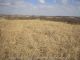 Collier Graves, Andrew County, Missouri