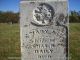 Mary Ann Holt Daily -- Grave Marker