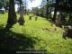 Greenwick Cemetery, Andrew County, Missouri