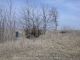 Kellogg Cemetery, Andrew County, Missouri