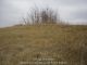 Kellogg Cemetery, Andrew County, Missouri
