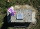 Donna Marie Crippen