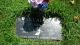 Melissa Lynn McCallon