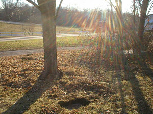 Vanschoiack Cemetery West