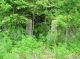 Woodcock Cemetery, Andrew County, Missouri
