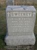 Daniel and Johanna Sweeney -- Grave Marker