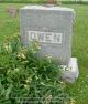 Albert, Emma Wilson and Frances Owen -- Grave Marker