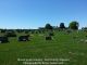 Mount Hope Cemetery, Holt County, Missouri