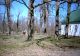 Mount Olive Cemetery, Fairview, Newton County, Missouri