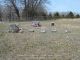 Vinson Family -- Grave Markers