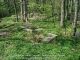 Hardaway Family Cemetery, Amelia County, Virginia