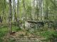 Hardaway Family Cemetery, Amelia County, Virginia