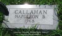 0495_callahn_napoleon