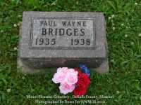 004_bridges_paul_wayne