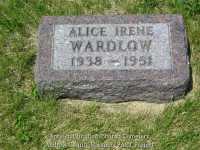 224_alice_wardlow